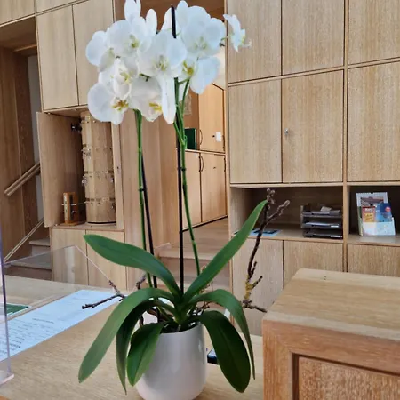 Hotel Kloster Drübeck